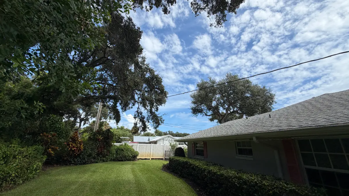 Tree Removal project in Vero Beach