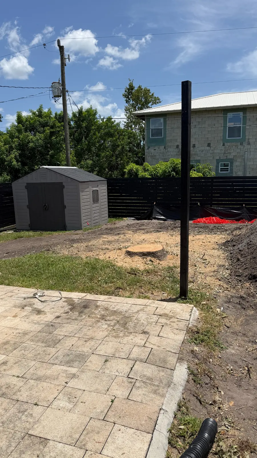 Backyard after tree removal