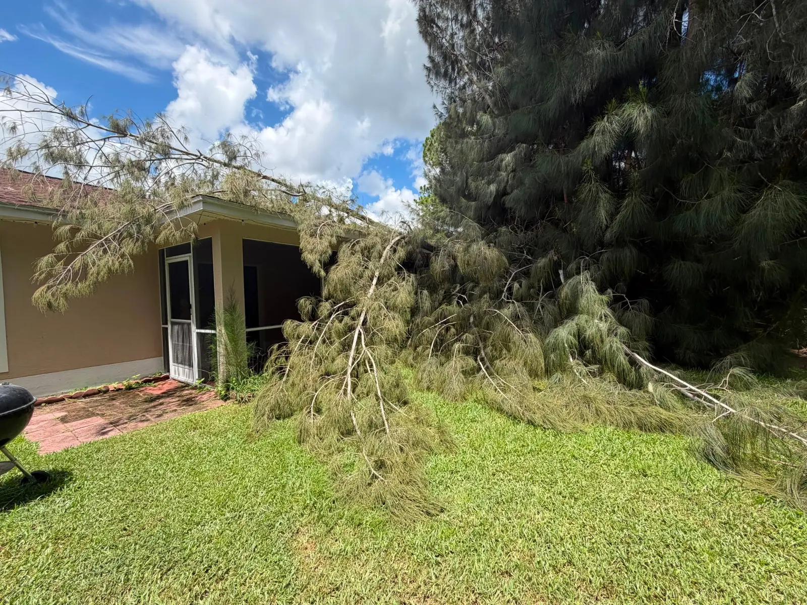 Second view of limbs against the home