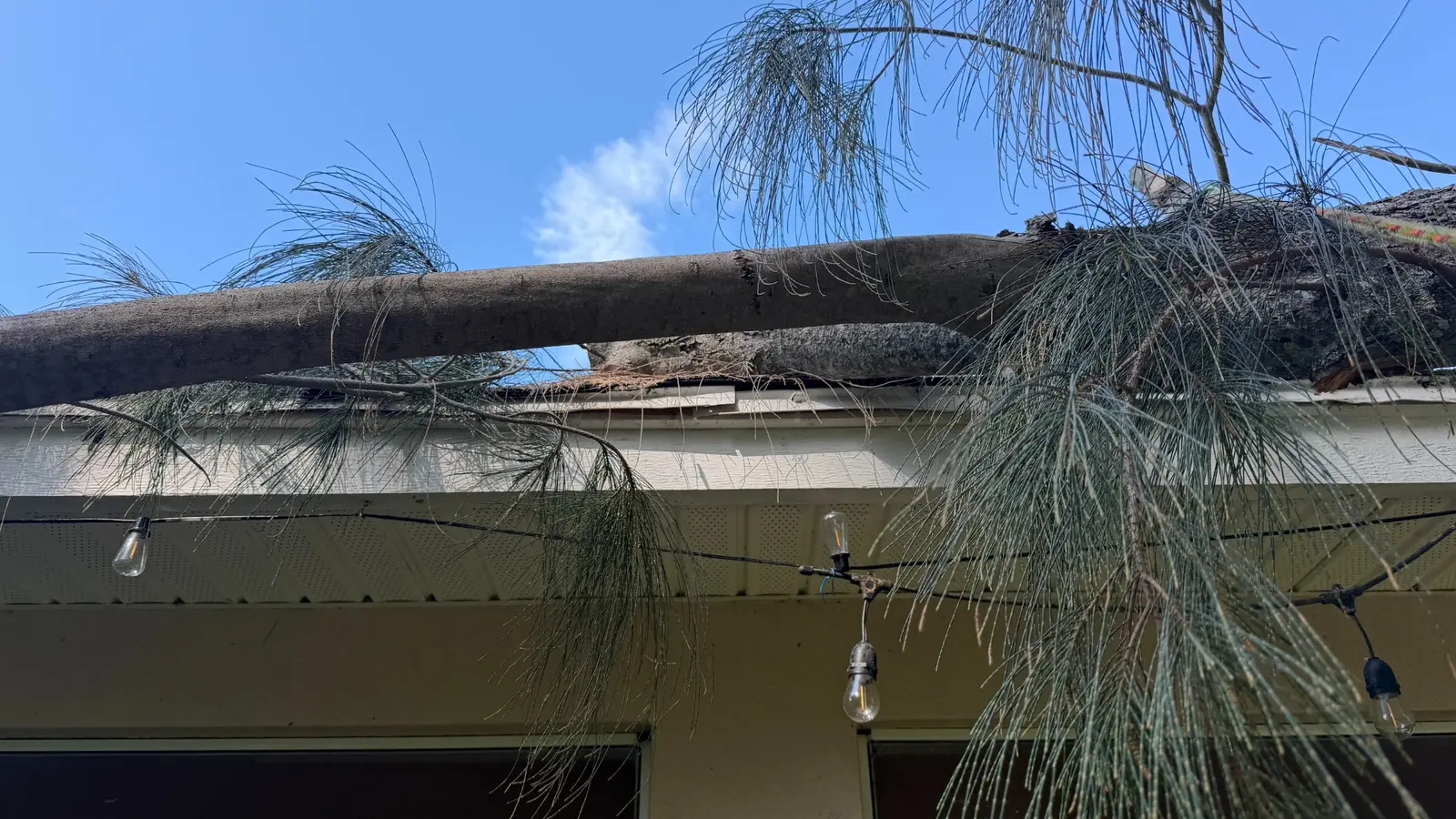 Large branch positioned over the roof
