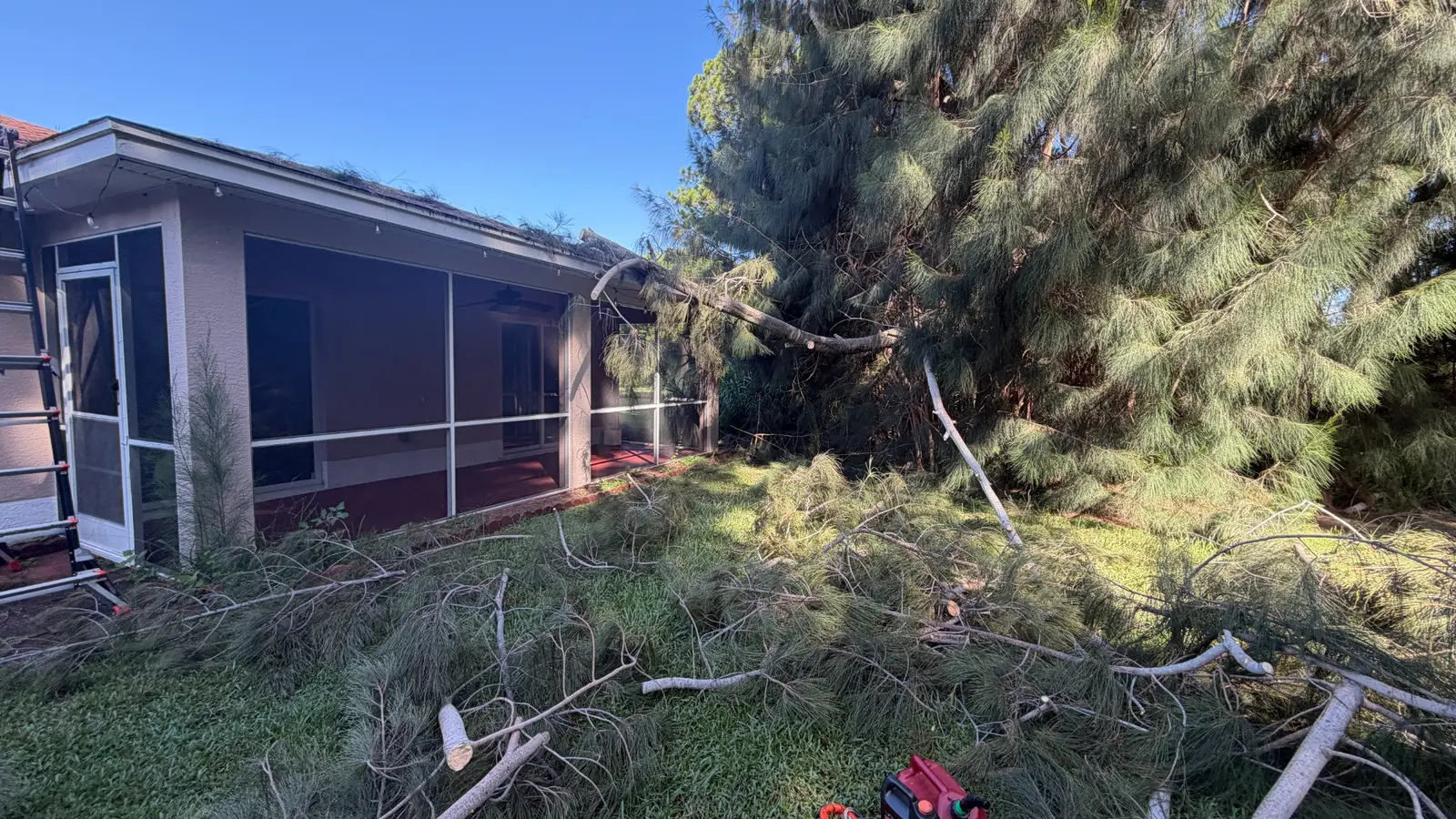 Tree sections during removal beside screened patio