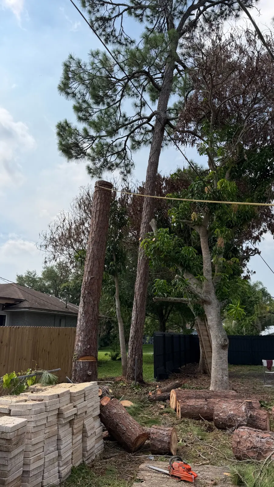 Controlled rigging during trunk removal