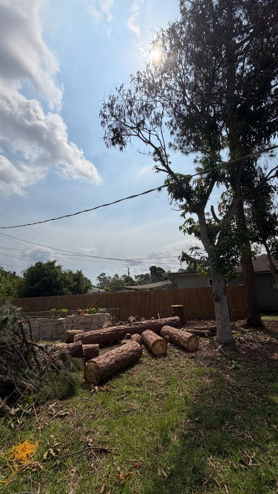 Tree reduced to lower trunk with sections on ground