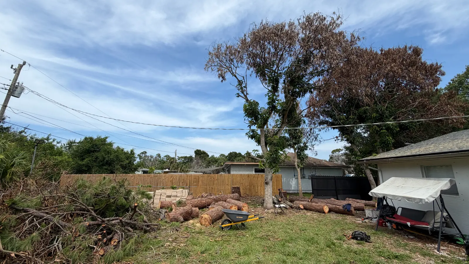Tree sections prepared for cleanup