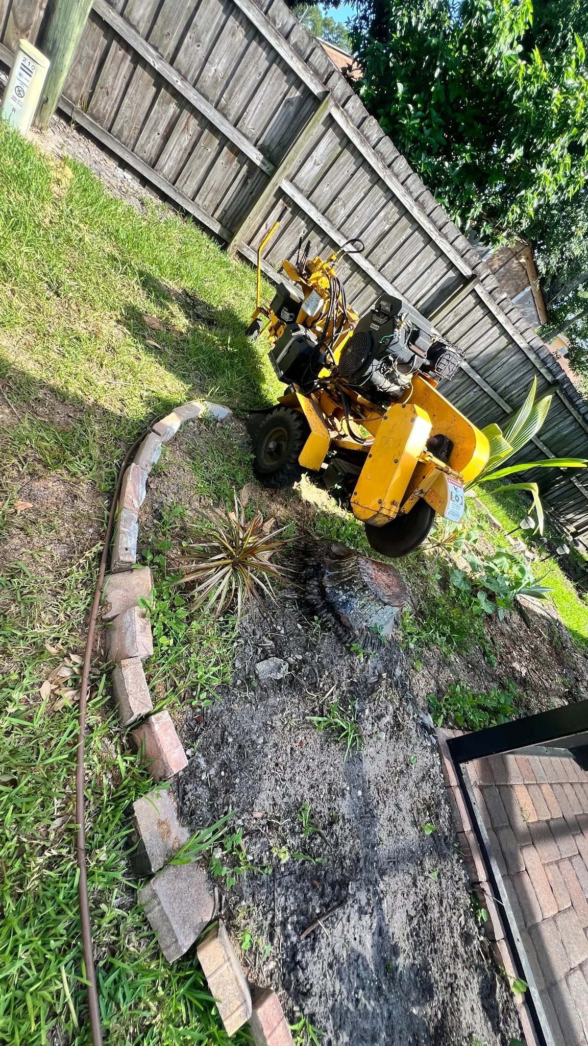 Stump grinder working on a tree stump